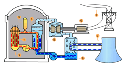 How Nuclear Power Plants Work | Things Not Seen